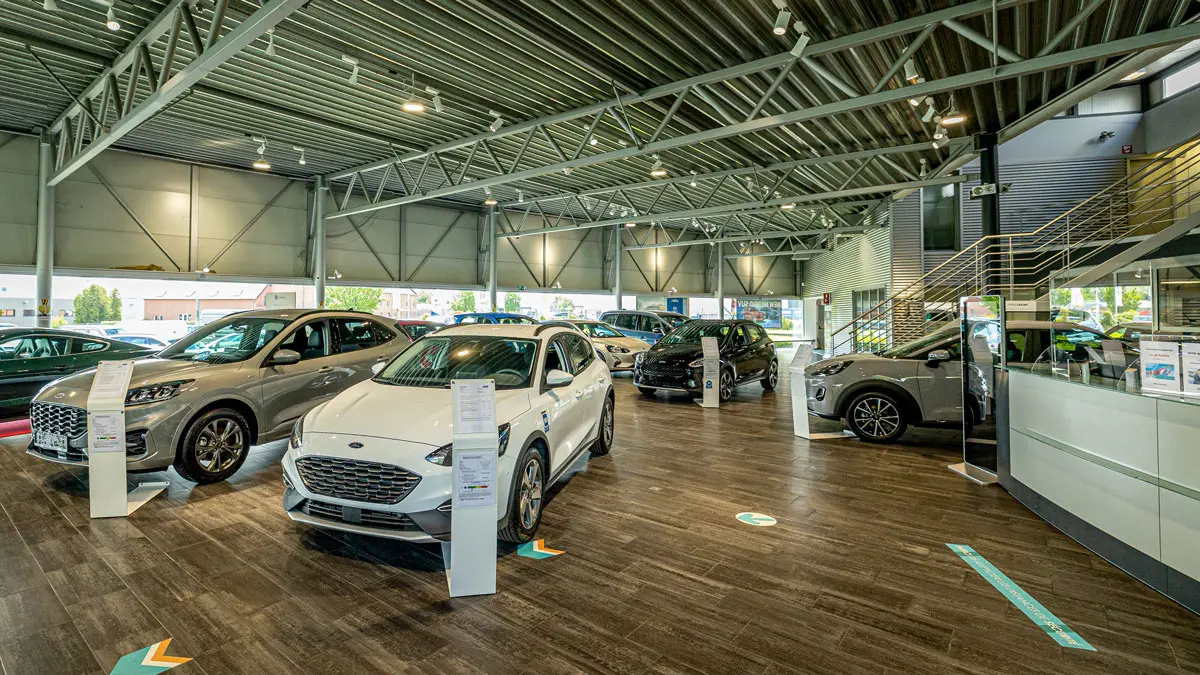Intérieur d'une concession Ford avec plusieurs voitures exposées, dont un modèle blanc et un gris, sur un sol en bois.