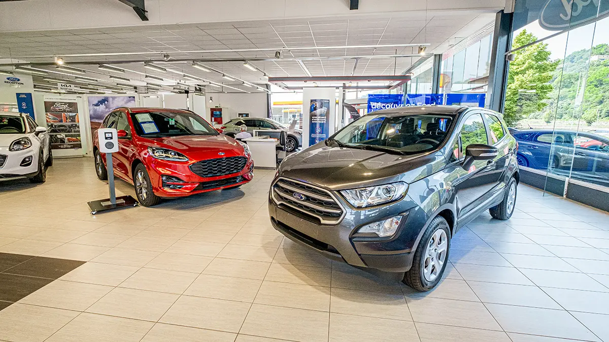 Deux voitures Ford, une grise et une rouge, exposées dans une concession automobile lumineuse avec de grandes fenêtres.